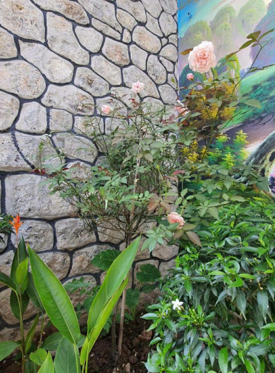 Trang An Hana Homestay Nguyen Ngoai Eksteriør bilde