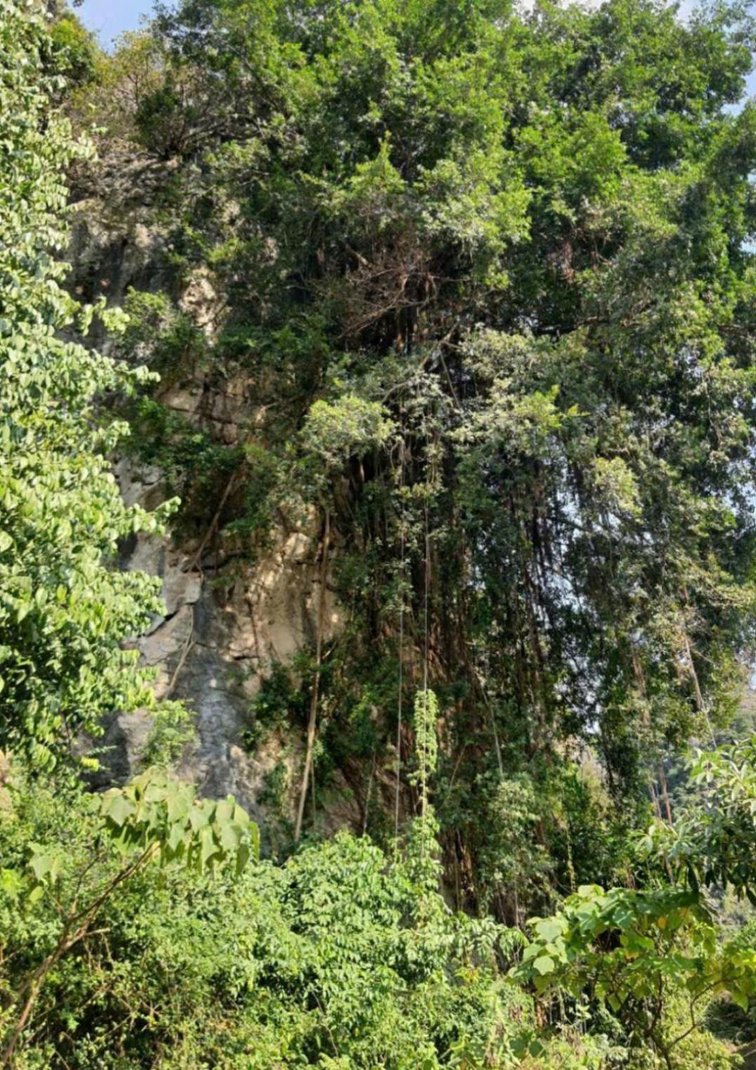 Trang An Hana Homestay Nguyen Ngoai Eksteriør bilde