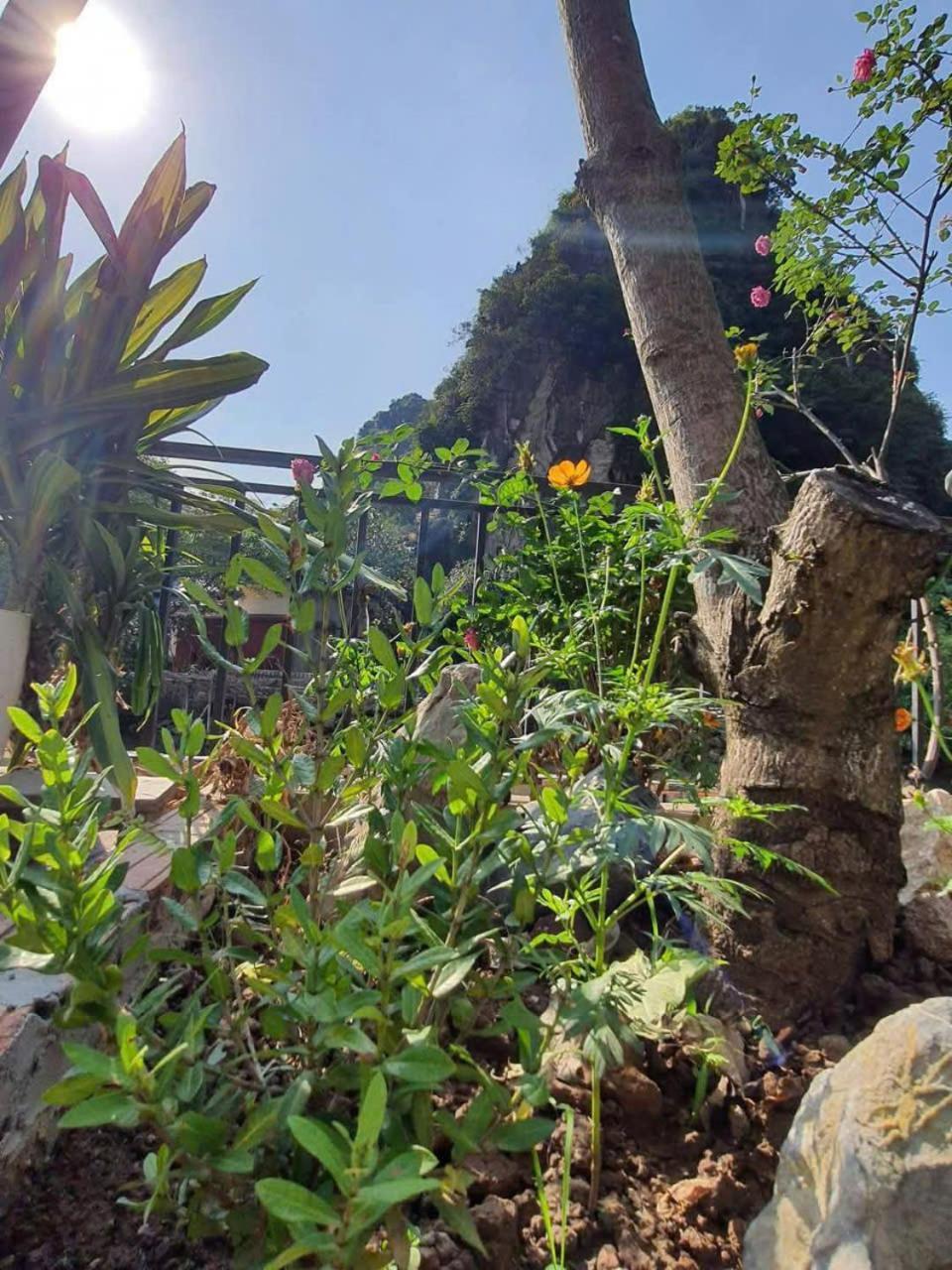 Trang An Hana Homestay Nguyen Ngoai Eksteriør bilde
